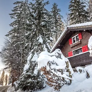 Chalet Le Petit Reve - De, Montriond
